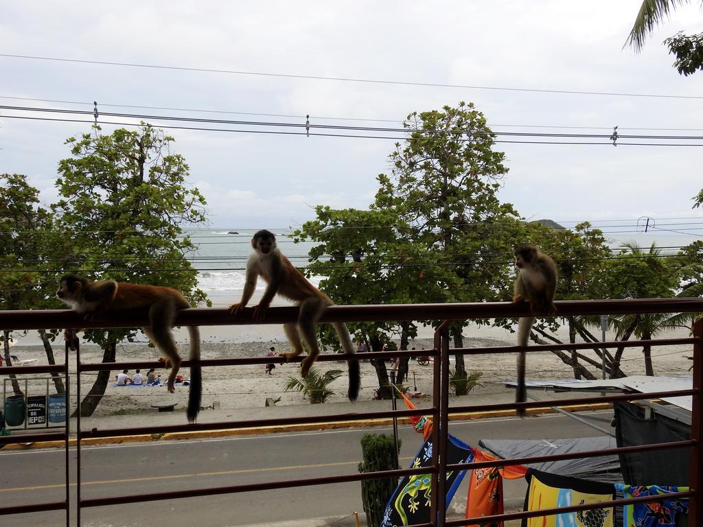 The Elephant Castle Beach Front Penthouse Manuel Antonio Kültér fotó